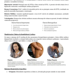 MÉDICO- Ministério Público do Espírito Santo