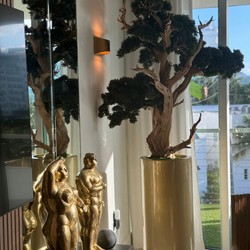 Bonsai em Vaso Saint Tropez