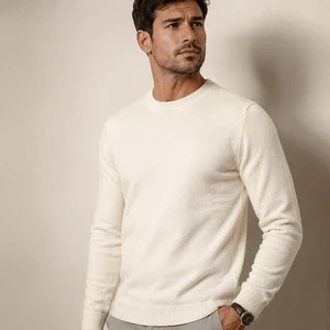 Suéter Masculino Versatto de Alto Padrão Ferr