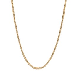 Chocker Riviera Dourada