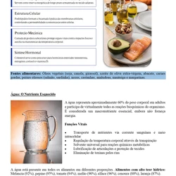 Nutricionista- Ministério da Saúde