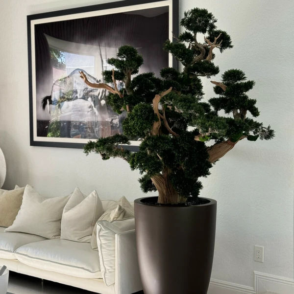 Bonsai de Grandes Dimensões em Vaso Brannan Marrom Fosco