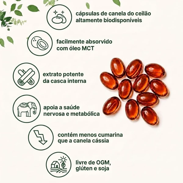 NoraVitta – Canela do Ceilão 7.200mg com Óleo MCT