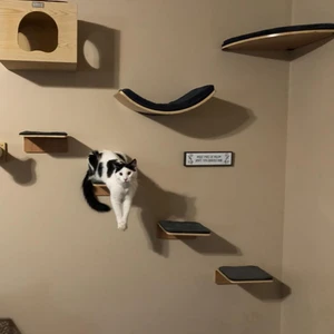 KIT Ponte de Escalada Para Gatos