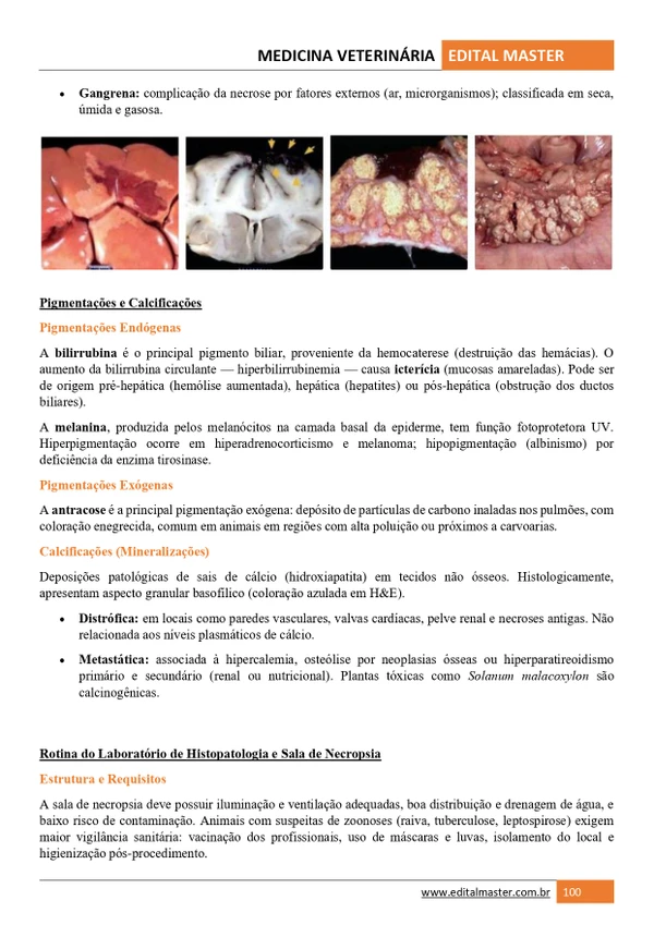 Medicina Veterinária ENARE 2026/2027