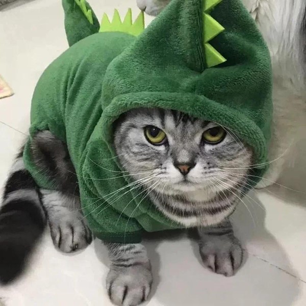 Fantasia de Dinossauro para Gato