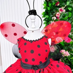Vestido Temático - Joaninha