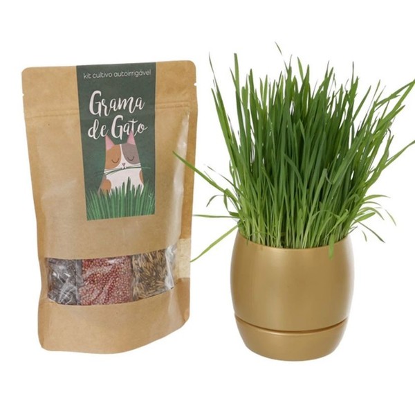  KIT PLANTIO + Vaso Auto irrigável de grama para Gatos