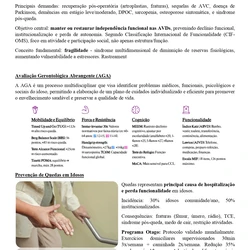 Fisioterapeuta - SES TO