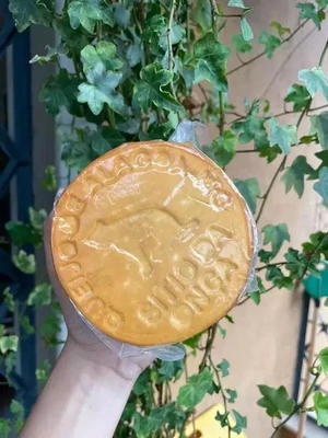 Queijo Defumado Sítio Da Onça - 600g