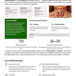 Médico da Família- Foz do Iguaçu PR