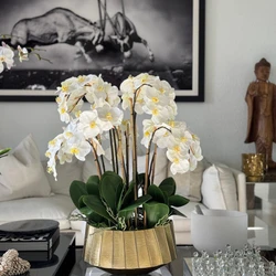 Vaso Barco Helena com Orquídeas Phalaenopsis Brancas