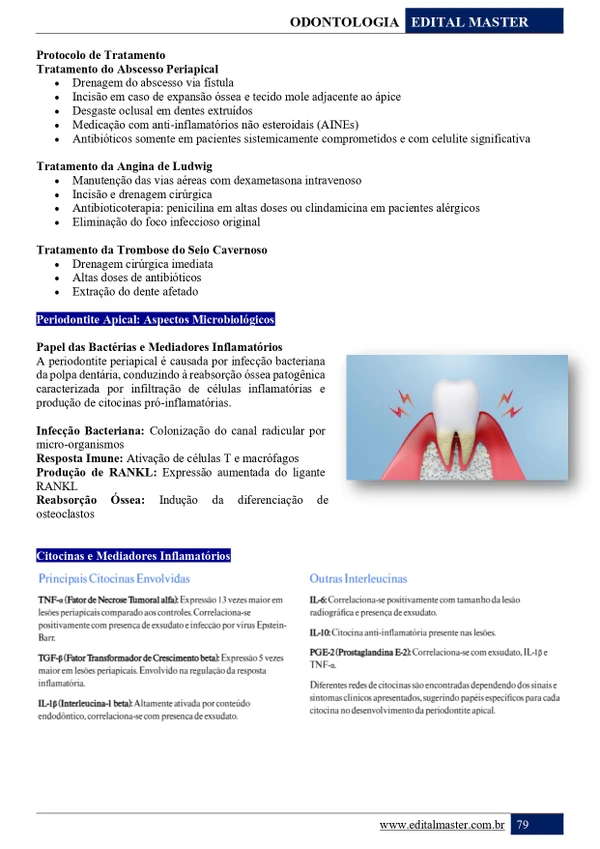 Cirurgião Dentista - Embu das Artes SP