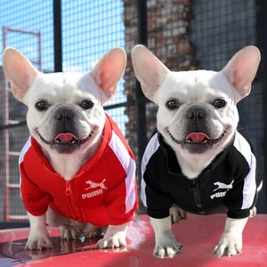 Jaqueta para Cães de Inverno, pequenos e médios porte
