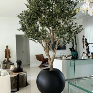 Oliveira em Vaso Globo Preto Fosco de 76 cm