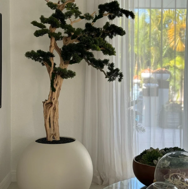 Bonsai em Vaso Globo Bege Acetinado de 75 cm