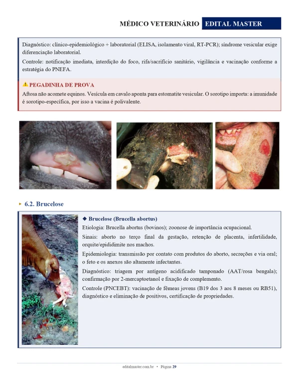  Médico Veterinário - Concurso Unificado Piauí