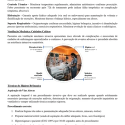 Enfermeiro Polícia Penal - Maranhão