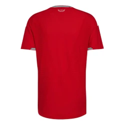 Camisa Seleção País de Gales Home 2026/27