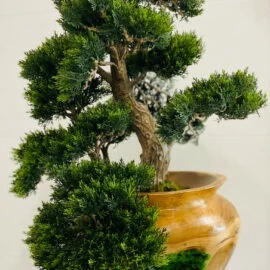Pequeno Bonsai em Vaso de Teca Entalhado à Mão
