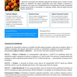 Nutricionista - Jundiaí SP
