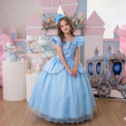 Vestido Fantasia Longo - Cinderela 