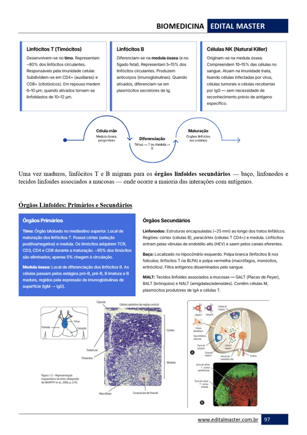 Biomedicina ENARE 2026/2027