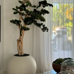 Bonsai em Vaso Globo Bege Acetinado de 75 cm