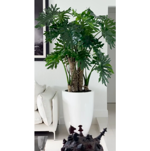 Planta Filodendro Selloum em vaso branco brilhante.