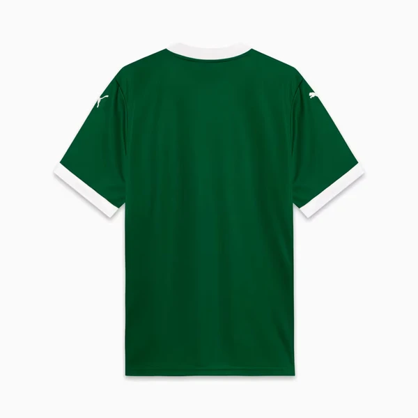 Camisa Puma Palmeiras I 2025
