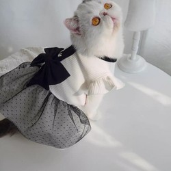 Vestido Princesa para Cães e Gato