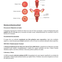 Biomédico - SES TO