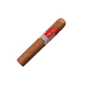 Charuto Perceverancia Premium Robusto - Unidade