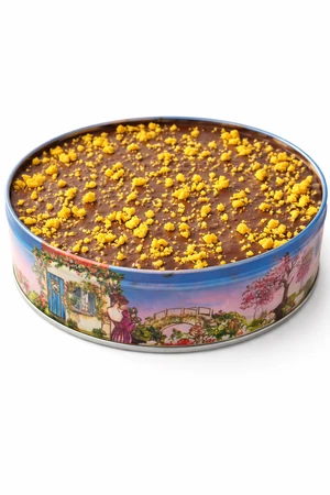 Bolo na Lata Santa Edwiges 340g