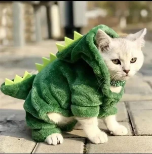 Fantasia de Dinossauro para Gato