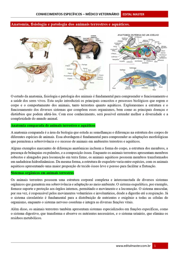 Médico Veterinário - Embu das Artes SP