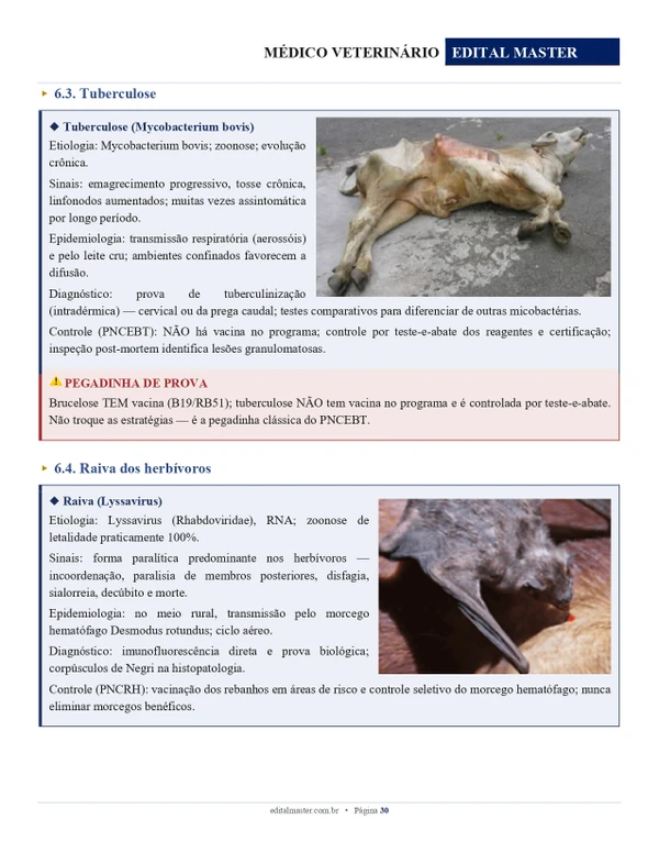  Médico Veterinário - Concurso Unificado Piauí