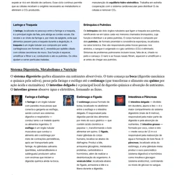 Biomedicina ENARE 2026/2027