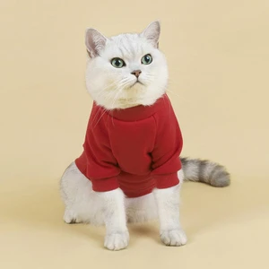 Sueter de Inverno para Gatos