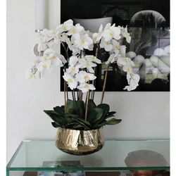 Arranjo Floral de Orquídeas Phalaenopsis em Vaso Dourado
