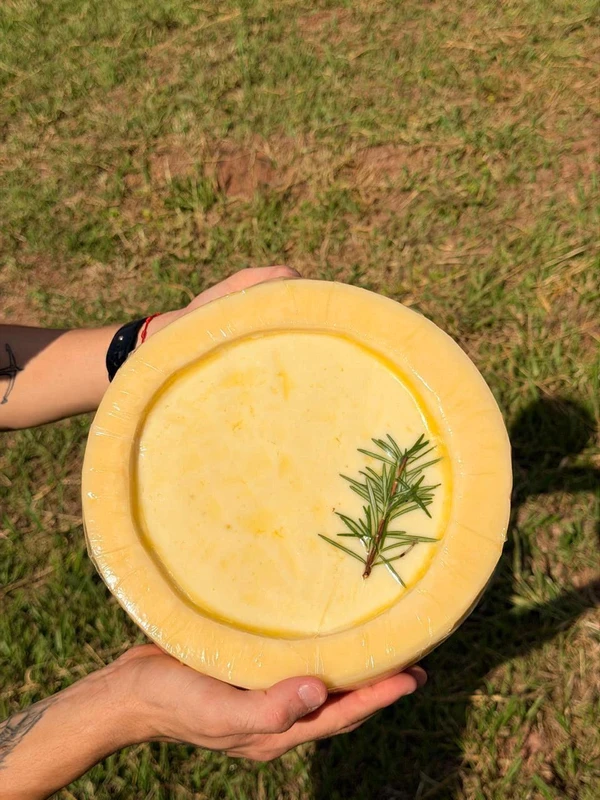 Panela de Queijo 4.5KG