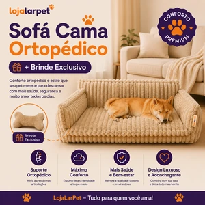 Sofá Cama Ortopédico + Brinde Exclusivo