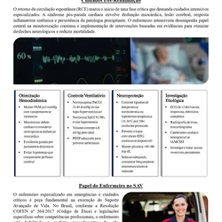 Enfermeiro Fiscal - Coren/SP