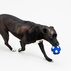 Sport Football