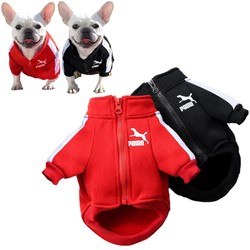 Jaqueta para Cães de Inverno, pequenos e médios porte