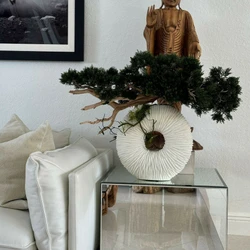 Vaso Eternity Médio com Bonsai Pendente e Madeira de Deriva