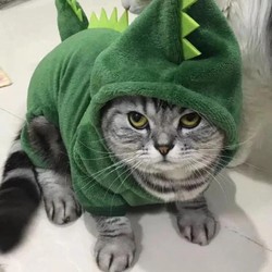 Fantasia de Dinossauro para Gato