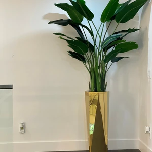 Vaso prisma dourado com estrelícia de 2.1 m.