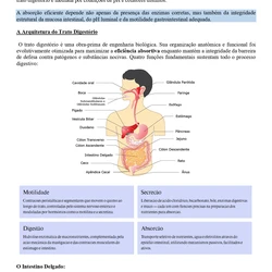 Nutrição ENARE 2026/2027