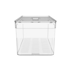 Organizador De Geladeira Com Tampa Clear Fresh 30x15x13cm Natural